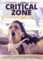 Critical Zone Plakat